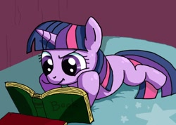 Size: 770x548 | Tagged: safe, artist:imo, derpibooru import, twilight sparkle, book, pixiv, reading, solo