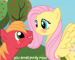Size: 700x560 | Tagged: safe, artist:thecat101, big macintosh, fluttershy, earth pony, pegasus, pony, blushing, compliment, fluttermac, male, shipping, stallion, straight