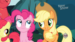 Size: 620x348 | Tagged: safe, screencap, apple bloom, applejack, big macintosh, pinkie pie, earth pony, pony, pinkie apple pie, male, stallion