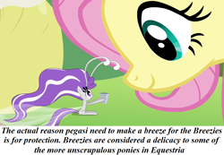 Size: 1280x886 | Tagged: safe, fluttershy, breezie, pegasus, pony, female, headcanon, mare, redpilled-mlp-headcanons