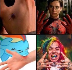 Size: 351x338 | Tagged: safe, derpibooru import, rainbow dash, pegasus, pony, spider, 6ix9ine, biting, hand, meme, spider-man, tobey maguire, transformation, wat