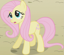 Size: 599x519 | Tagged: safe, screencap, fluttershy, pegasus, pony, the return of harmony, animation error, outfit catalog, solo, wingless