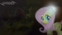 Size: 1920x1080 | Tagged: safe, artist:ahmedooy, artist:doctor-g, fluttershy, pegasus, pony, blurry, dark, lens flare, solo, vector, wallpaper