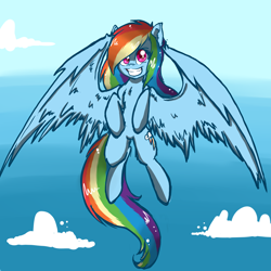 Size: 5000x5000 | Tagged: safe, artist:amberony, derpibooru import, rainbow dash, pegasus, pony, absurd resolution, flying, solo