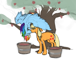 Size: 1280x1016 | Tagged: safe, artist:jykinturah, derpibooru import, applejack, rainbow dash, earth pony, pegasus, pony, apple, apple tree, appledash, eyes closed, female, food, kissing, lesbian, mare, shipping, tree