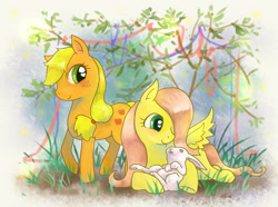 Size: 1834x1363 | Tagged: safe, artist:kuang-han, angel bunny, applejack, fluttershy, earth pony, pegasus, pony, appleshy, blushing, female, lesbian, missing accessory, pixiv, shipping