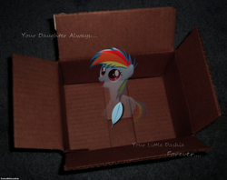 Size: 1281x1013 | Tagged: safe, artist:capt-nemo, artist:ponieswithcarsrule, artist:yourfavoritesenpai, derpibooru import, rainbow dash, fanfic:my little dashie, cardboard box, feather, filly rainbow dash, ghostly, irl, looking up, open mouth, photo, ponies in real life, quote, reference, sitting, smiling, solo, vector