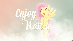 Size: 1920x1080 | Tagged: safe, artist:hawk9mm, artist:jave-the-13, fluttershy, pegasus, pony, female, happy, mare, solo, vector, wallpaper