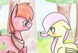 Size: 1024x701 | Tagged: safe, artist:lrusu, big macintosh, fluttershy, earth pony, pegasus, pony, blushing, fluttermac, male, shipping, stallion, straight, traditional art