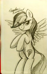 Size: 2881x4504 | Tagged: safe, artist:php97, derpibooru import, rainbow dash, pegasus, pony, solo, traditional art