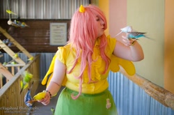 Size: 960x635 | Tagged: safe, artist:rufflesandrainbows, fluttershy, bird, human, cosplay, irl, irl human, photo, solo