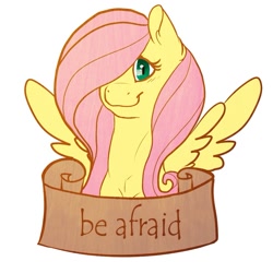 Size: 1000x1000 | Tagged: safe, artist:hawkwhisker, edit, fluttershy, pegasus, pony, face of mercy, mouthpiece, solo