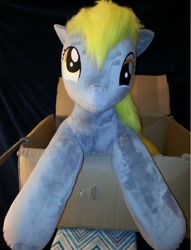 Size: 708x926 | Tagged: artist needed, safe, derpy hooves, pegasus, pony, box, female, irl, looking at you, mare, photo, plushie, pony in a box, solo