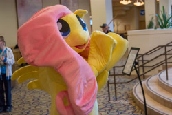 Size: 5934x3960 | Tagged: safe, artist:lemonkylie, fluttershy, human, babscon, cosplay, fursuit, irl, irl human, photo