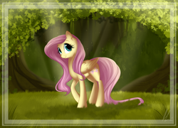 Size: 5472x3937 | Tagged: safe, artist:lolepopenon, fluttershy, pegasus, pony, absurd resolution, forest, looking up, smiling, solo