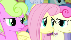 Size: 1024x576 | Tagged: safe, screencap, bon bon, daisy, flower wishes, fluttershy, linky, shoeshine, spring melody, sprinkle medley, sweetie drops, pegasus, pony, putting your hoof down, bon bon is not amused, hub logo, squee