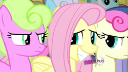 Size: 1024x576 | Tagged: safe, screencap, bon bon, daisy, flower wishes, fluttershy, linky, shoeshine, spring melody, sprinkle medley, sweetie drops, pegasus, pony, putting your hoof down, bad poker face, bon bon is not amused, hub logo, smiling