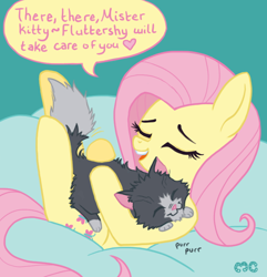 Size: 662x688 | Tagged: safe, artist:mcponyponypony, fluttershy, cat, pegasus, pony, beanbag, beanbag chair, crossover, cute, dan vs, mr mumbles