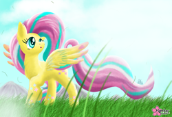 Size: 1000x685 | Tagged: safe, artist:clouddg, fluttershy, pegasus, pony, female, mare, rainbow power, solo