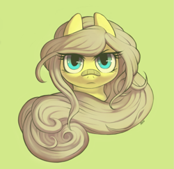 Size: 1019x987 | Tagged: safe, artist:moo, fluttershy, pegasus, pony, bandaid, head, looking at you, plaster, simple background, solo