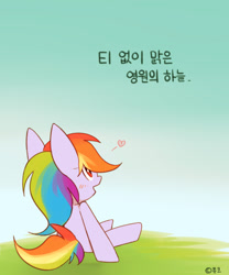 Size: 1000x1200 | Tagged: safe, artist:joycall6, derpibooru import, rainbow dash, pegasus, pony, korean, solo, translated in the comments