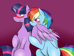 Size: 1024x768 | Tagged: safe, artist:katrittaja, derpibooru import, rainbow dash, twilight sparkle, twilight sparkle (alicorn), alicorn, pegasus, pony, biting, blushing, female, lesbian, mare, preening, shipping, teasing, twidash, wing bite