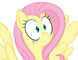 Size: 785x609 | Tagged: safe, artist:88ms-allie88, artist:seleniium, fluttershy, pegasus, pony, solo, surprised