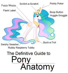 Size: 761x811 | Tagged: safe, artist:pen-mightier, princess celestia, alicorn, pony, anatomy, anatomy guide, fanfic art, simple background, solo, text, the definitive guide to pony anatomy, white background