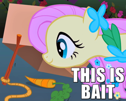 Size: 600x480 | Tagged: safe, edit, edited screencap, screencap, fluttershy, pegasus, pony, the best night ever, bait, box, caption, carrot, clothes, cropped, cute, dress, eyes on the prize, female, flower, gala dress, happy, image macro, mare, meme, reaction image, rope, rose, shyabetes, smiling, solo, stick, text, this is bait