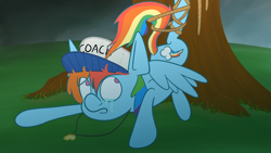 Size: 1920x1080 | Tagged: safe, artist:varmintfarm, derpibooru import, rainbow dash, pegasus, pony, bondage, coach, crying, hat, storm, tree, whistle