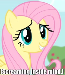 Size: 477x550 | Tagged: safe, screencap, fluttershy, pegasus, pony, awkward smile, descriptive noise, meme, solo, text, x internally