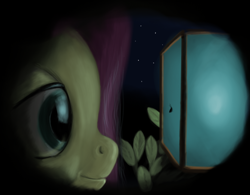 Size: 878x686 | Tagged: safe, artist:lemurkatta, fluttershy, insect, pegasus, pony, dark, lantern, night, size difference, solo