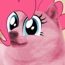 Size: 264x264 | Tagged: safe, artist:rayscratch, pinkie pie, doge, shiba inu, solo, species swap