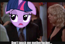 Size: 480x320 | Tagged: safe, derpibooru import, twilight sparkle, animated, caption, don't touch me motherfucker, get out, image macro, text, the room, tommy wiseau, twiface, vulgar, wrong neighborhood
