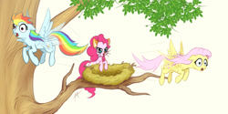 Size: 1000x500 | Tagged: safe, artist:zetamad, derpibooru import, fluttershy, pinkie pie, rainbow dash, earth pony, pegasus, pony, behaving like a bird, behaving like a cat, cat ears, nest, pinkie cat, tree, tree branch, whiskers