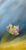 Size: 1040x2034 | Tagged: safe, artist:fapalot, fluttershy, pegasus, pony, female, mare, pink mane, solo, yellow coat