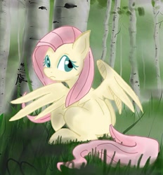 Size: 1003x1079 | Tagged: safe, artist:openskyline, fluttershy, pegasus, pony, female, mare, pink mane, solo, yellow coat