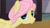 Size: 1022x575 | Tagged: safe, artist:lovejennifer2, butterscotch, fluttershy, pegasus, pony, filli vanilli, rule 63, scene interpretation, solo