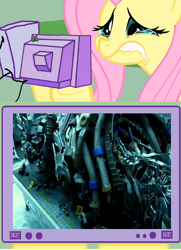 Size: 560x774 | Tagged: safe, fluttershy, pegasus, pony, death, exploitable meme, fail, fluttercry, galvatron, meme, obligatory pony, spoiler, transformers, transformers age of extinction, tv meme