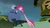 Size: 1280x720 | Tagged: safe, screencap, iron will, pinkie pie, earth pony, pony, putting your hoof down, eye contact, floppy ears, frown, long neck, long pony, nope.avi, open mouth, pinkie being pinkie, pinkie physics, stretching, wide eyes