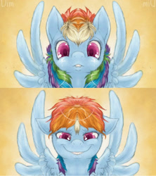 Size: 1920x2160 | Tagged: safe, artist:dimwitdog, derpibooru import, edit, rainbow dash, pegasus, pony, bedroom eyes, floppy ears, grin, lip bite, looking at you, mirrored, mischievous, smiling, solo, spread wings, unitinu, wat, wingboner