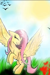 Size: 320x480 | Tagged: safe, artist:katie1234585, fluttershy, pegasus, pony, female, mare, pink mane, solo, yellow coat