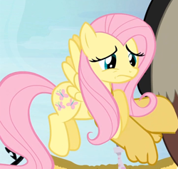 Size: 724x685 | Tagged: safe, screencap, fluttershy, pegasus, pony, princess twilight sparkle (episode), female, mare, solo