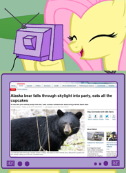 Size: 563x771 | Tagged: safe, fluttershy, bear, pegasus, pony, exploitable meme, meme, obligatory pony, television, tv meme