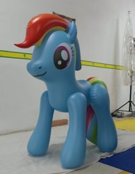 Size: 610x786 | Tagged: source needed, useless source url, safe, derpibooru import, rainbow dash, bootleg, hongyi, inflatable, inflatable dashie, inflatable toy, irl, photo, pool toy