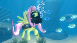 Size: 1920x1080 | Tagged: safe, artist:d0ntst0pme, fluttershy, fish, pegasus, pony, shark, 3d, diving, gmod, not sfm, ruins, scuba, scuba gear, seaweed, solo, spread wings, underwater, watershy