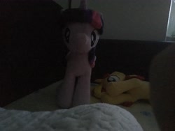 Size: 4032x3024 | Tagged: safe, sunset shimmer, twilight sparkle, twilight sparkle (alicorn), alicorn, 4de, bed, dark, irl, looking at you, photo, pillow, plushie, she knows