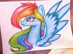 Size: 1024x766 | Tagged: safe, artist:kartie128, derpibooru import, rainbow dash, pegasus, pony, alternate hairstyle, bust, portrait, solo, traditional art