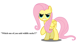 Size: 1920x1080 | Tagged: safe, fluttershy, pegasus, pony, angry, bronybait, misspelling, solo