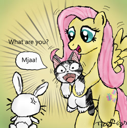 Size: 900x907 | Tagged: safe, artist:teagigs, angel bunny, fluttershy, cat, pegasus, pony, chi, chi's sweet home, crossover